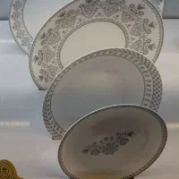 سرویس اوپال نو و داخل کارتن