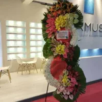 کد850 افتتاحیه نمایشگاه تاجگل دسته(مناسبترین قیمت)|گل و گیاه طبیعی|تهران, پونک|دیوار