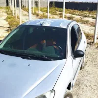 پژو۲۰۶|خودرو سواری و وانت|شاهرود, |دیوار