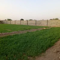 چهار دیواری کارگاهی رهن و اجاره
