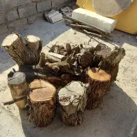 چوب درخت کنار خشک توافقی|گل و گیاه طبیعی|بهبهان, |دیوار