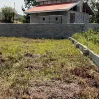 فروش زمین 500 متری تازاباد سیاهکل محصور|فروش زمین و ملک کلنگی|سیاهکل, |دیوار