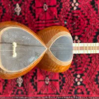 تار|سازهای سنتی|سبزوار, پیام|دیوار