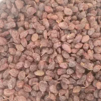 کشمش تمیز وپاک شده بیرانه ومویز