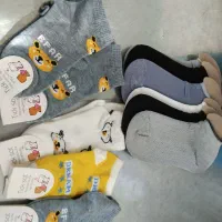 لباس زیر شورت و جوراب|لباس|بروجرد, |دیوار