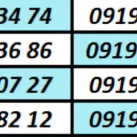 0919.226.84.82|سیمکارت|تهران, تهرانسر مرکزی|دیوار