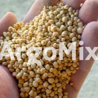 کود گوگرد گرانوله معدنی تضمین سلامت باغات