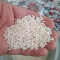 برنج چمپا خوش پخت درجه یک تیم خیجه میداود