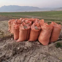 کاه لوبیا چیتی کیلو ۱۸