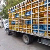 هیوندا مرغی مدل 83|خودرو سنگین|رشت, آزادگان|دیوار