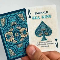 پاسور فقط ۲۲۰|کلکسیون و سرگرمی|اراک, |دیوار