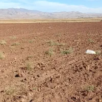 زمین احداث کارخانه و سوله بیلوردی نمرور|فروش زمین و ملک کلنگی|خواجه, |دیوار