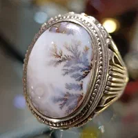 انگشتر شجر منظره دار واضح رکاب سید زنجان 1|بدلیجات|تهران, بازار|دیوار