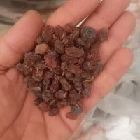 کشمش و شیره مزرعه چی|خوردنی و آشامیدنی|تاکستان, |دیوار