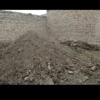 کود گوسفندی