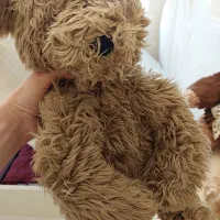 عروسک های پولیشی|اسباببازی|تهران, تهرانسر شرقی|دیوار