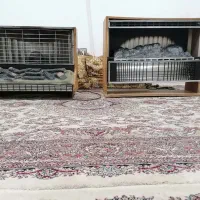 بخاری گازی، نفتی و برقی انگلیسی و ژاپنی