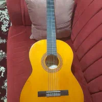 گیتار  کلاسیک حرفه ای.