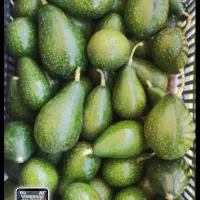 خرید آووکادو