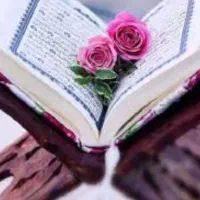سرکتاب تضمینی