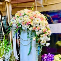 باکس و دسته گل خواستگاری و بله برون و ماشین عروس