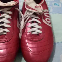 کفش استوک|کیف، کفش، کمربند|دماوند, گیلاوند|دیوار