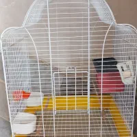 قفس پرنده