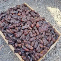 خرما ربی ارگانیک|خوردنی و آشامیدنی|بمپور, |دیوار