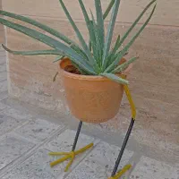 پایه گلدان پرنده