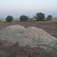 فروش کاه لوبیا|عمده‌فروشی|خرمدره, |دیوار