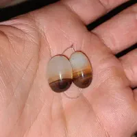 ۱۰ جــفت مهره سلیمانی.جزع و...