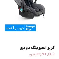 کریر|کالسکه و لوازم جانبی|فردیس, فردیس|دیوار