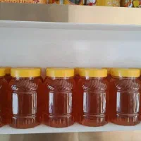 عسل کندو|عمدهفروشی|شیراز, زرهی|دیوار