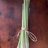 لمون گراس علف لیمو تازه