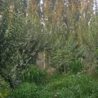 باغ ۱۰۰۰ متری ۴ دیواری|فروش خانه و ویلا|احمدآبادمستوفی, |دیوار