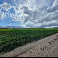 ۱۰۰۰متر زمین کشاورزی چزکین سند تکبرگ