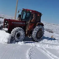 گندم دیم مهتاب گرمسیری