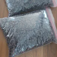 کشمش آفتابی|خوردنی و آشامیدنی|قم, شهدا|دیوار