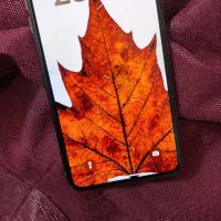 xs max