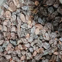 کشمش آفتابی فخری|خوردنی و آشامیدنی|تاکستان, |دیوار