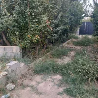 باغچه-690-متر-بلوارمداحی