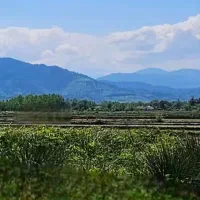 زمین-روستایی-مسکونی-260-متری-روستایی-گلرودبار
