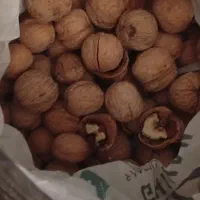 گردو اردکان