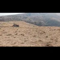 فروش زمین|فروش زمین و ملک کلنگی|طالقان, |دیوار