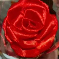 انواع گل تک شاخه