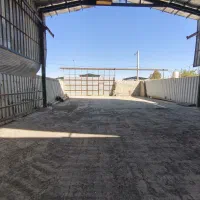 اجاره سوله ۳۰۰ متری بر خیابان اصلی|اجارهٔ دفتر صنعتی، کشاورزی، تجاری|خمینیشهر, |دیوار