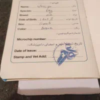 واگذاری سگ نگهبان|سگ|فشم, |دیوار