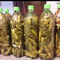 خیارشور بطری