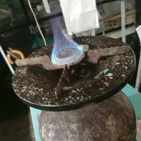 پیک نیک کاملاسالم گاز پُر