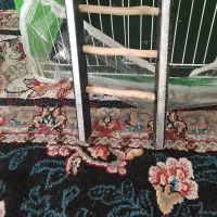 نردبان نو دست ساز